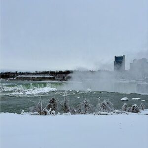 Meet your Posher, Nicholas